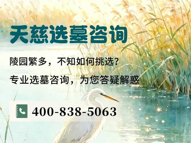 天慈墓园海棠春色：生者与逝者间的花海对话