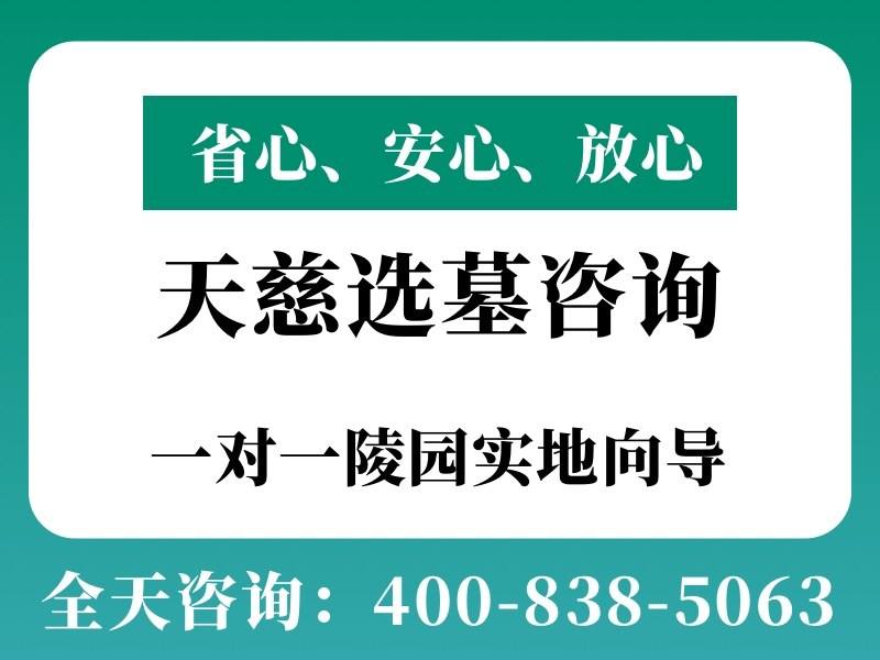 天慈墓园和平鸽墓碑的翅膀能展开吗：材质与工艺解析