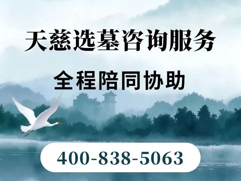 天慈墓园微型单人墓碑一次性付款折扣 全套基础服务全包详解：性价比之选
