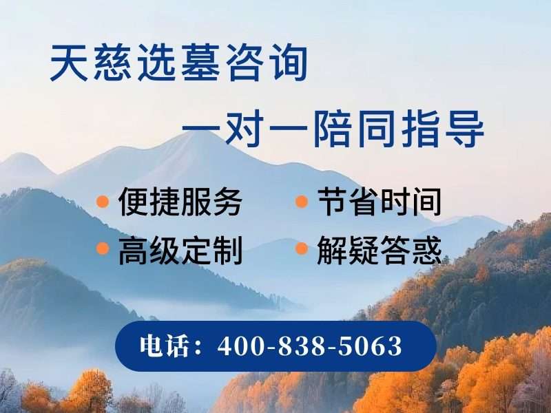天慈墓园荷花池里的锦鲤游过墓碑倒影特别治愈