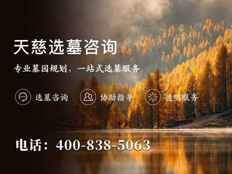 天慈墓园的慈善墓位是真的不收钱吗？深度揭秘其费用与政策
