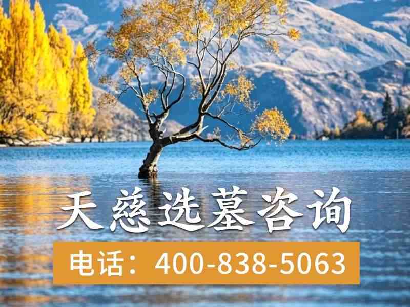天慈墓园天慈湖畔的芦苇在风中摇成一片海，展现自然与肃穆的和谐交融