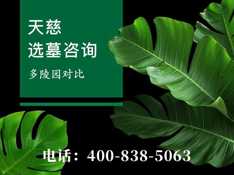 佛教家庭青睐天慈墓园莲花墓碑的原因