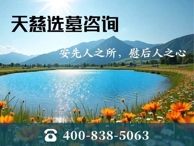 天慈墓园天慈湖畔的芦苇在风中摇成一片海，湖光山色令人心旷神怡